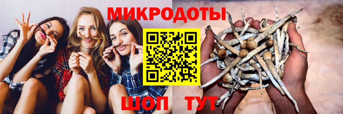 Нефтекумск  Галлюциногенные грибы прущие грибы  сколько стоит  Вход с VPN  Галлюциногенные грибы GOLDEN TEACHER 